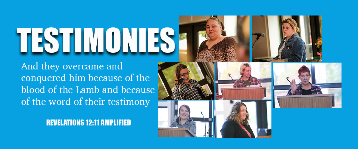 website cover 4